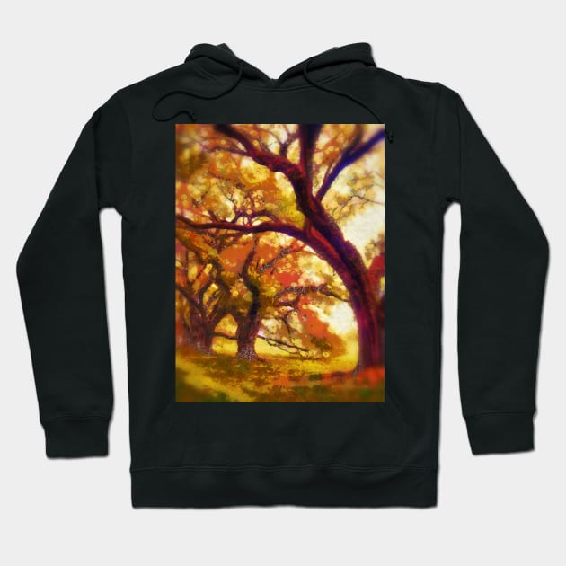 Southern live oaks Hoodie by heidiannemorris